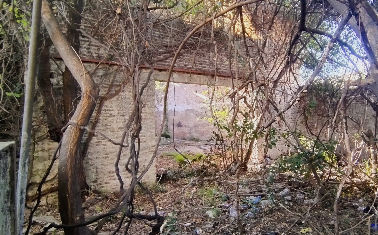 LOTE CON DOBLE FRENTE, SUPERFICIE TOTAL 684M2. IDEAL INVERSOR.