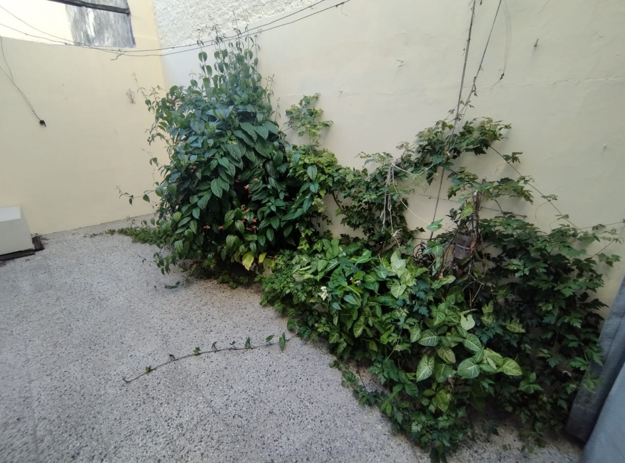 PH EN PLANTA BAJA AL FRENTE DE 3 AMBIENTES CON ENTRADA INDEPENDIENTE.