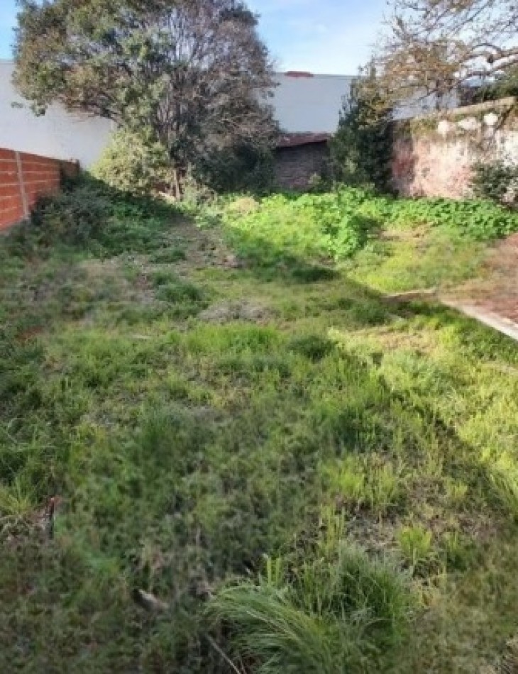 LOTE DE 11,69MTS DE FRENTE X 39.65MTS DE FONDO. SUPERFICIE TOTAL DE 464M2. 